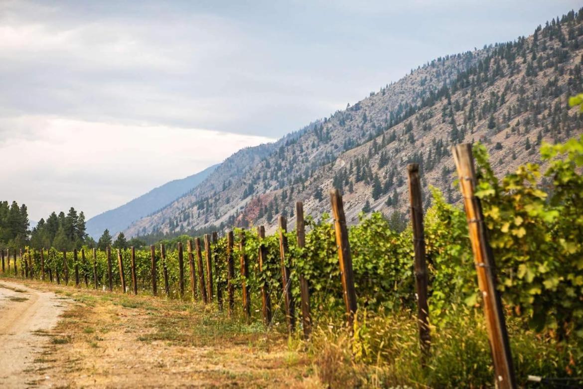 Similkameen Wild Resort & Winery Retreat Osoyoos Exteriér fotografie